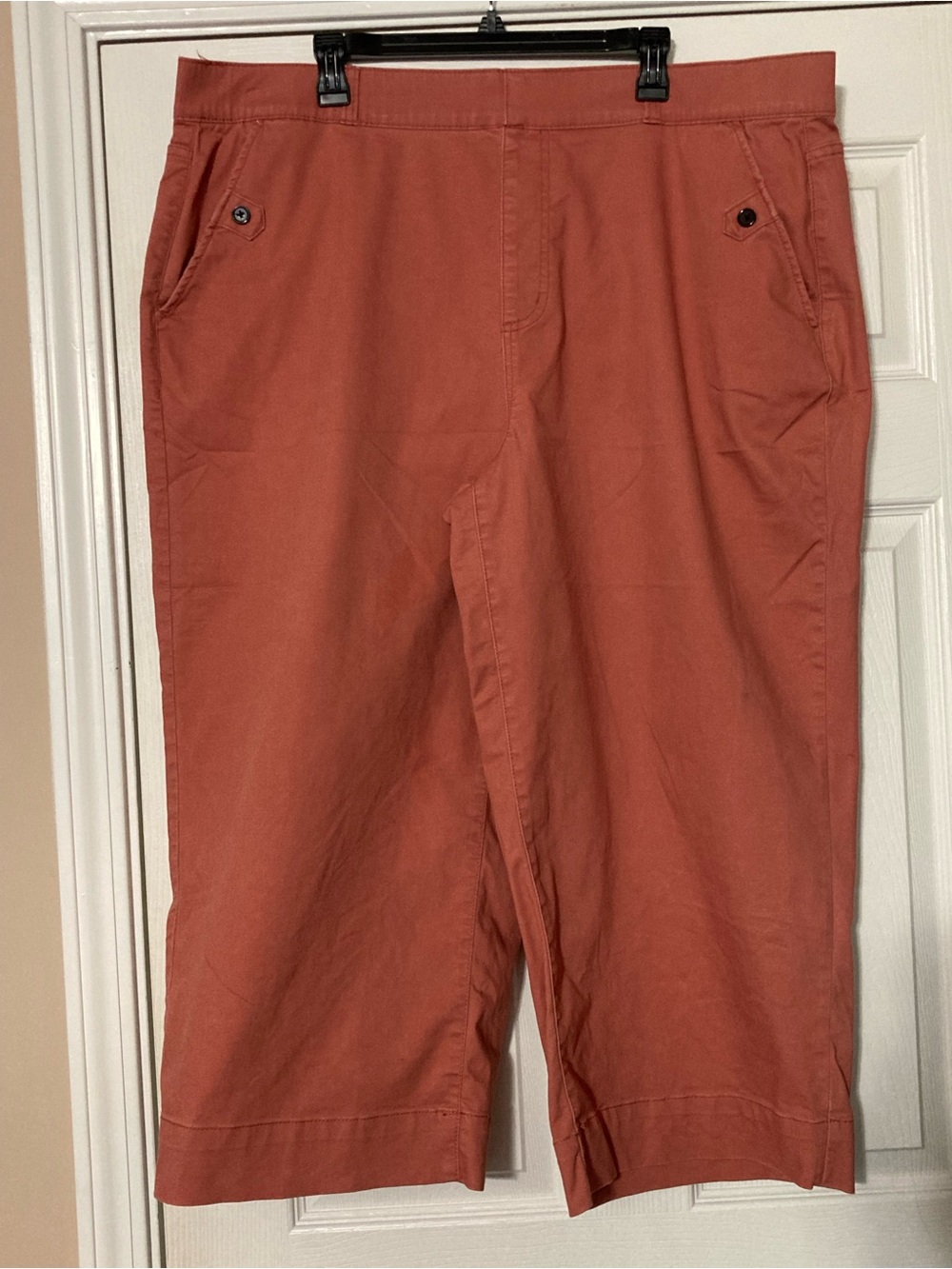Terra & Sky Cropped Pants in Rust
